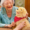 Image of Realistic Dog Toy for Dementia Being Pet
