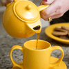 Image of Two-Handled Ceramic Teapot For Seniors Yellow Demo