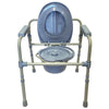 Image of Versatile Steel Commode Chair