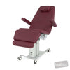 Image of EVO Procedure Chair - 3-Position Memory, All Electric in Austex Studio+ Ruby vinyl (AI colour preview)