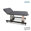 Image of HT Hi-Capacity Bobath Table - Two Section Electric Backrest in Austex Studio+ Pewter vinyl (AI colour preview)