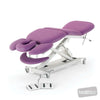 Image of SX Contour Massage Table rear view with electric height adjustment