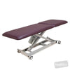 Image of LynX GP Examination Table with Electric Backrest in Austex Studio+ Port vinyl (AI colour preview)