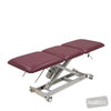 Image of LynX GP Universal Examination Table - Three Section in Austex Studio+ Ruby vinyl (AI colour preview)