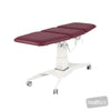 Image of Pinnacle Universal Examination Table in Austex Studio+ Ruby vinyl (AI colour preview)