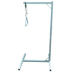 Days Over Bed Pole Hoist Monkey Bar