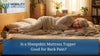 Is a Sheepskin Mattress Topper Good for Back Pain?