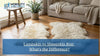 Lambskin vs Sheepskin Rug: What's the Difference?