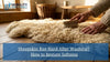 Sheepskin Rug Hard After Washing? How to Restore Softness