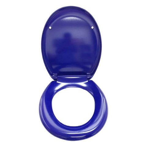 Coloured Toilet Seat for Dementia