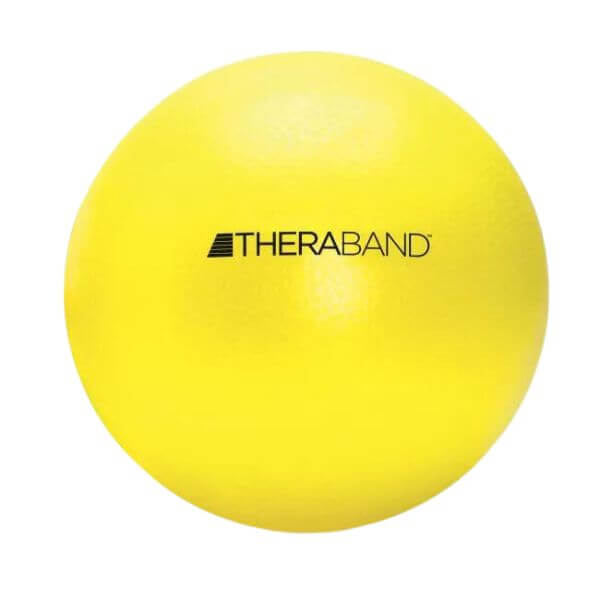Core Strength Exercise Ball