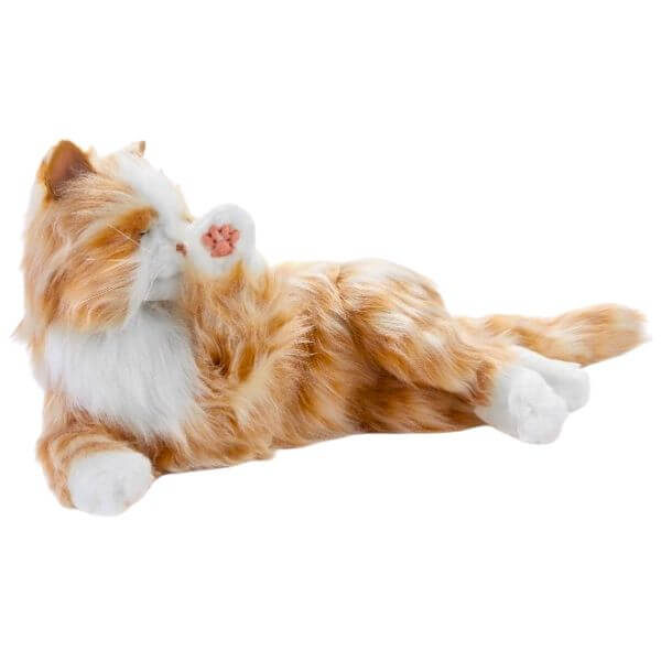 Dementia Cat Toy