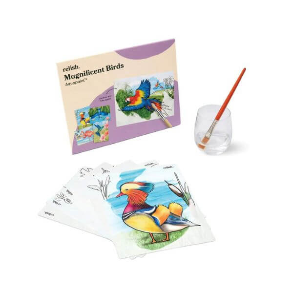 Dementia Painting Activity Books Magneficent Birds Actual