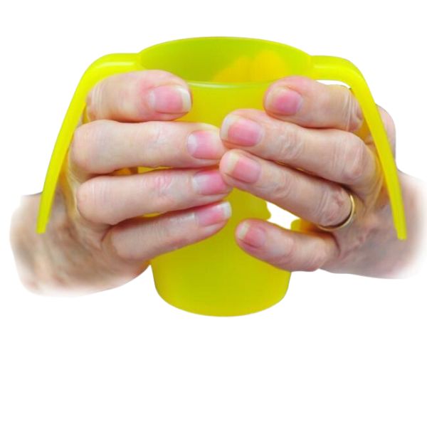 Double Handled Cup With Measurements Demo