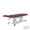Image of EVO2 Three-Section Treatment Table in Austex Studio+ Ruby vinyl (AI colour preview)