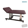 Image of HT Hi-Capacity Bobath Table - Two Section Electric Backrest in Austex Studio+ Port vinyl (AI colour preview)