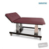 Image of HT Hi-Capacity Bobath Table - Two Section Electric Backrest in Austex Studio+ Ruby vinyl (AI colour preview)