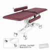 Image of LynX Adult Change Table - Hoist Access in Austex Studio+ Ruby vinyl (AI colour preview)