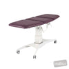 Image of Pinnacle Universal Examination Table - All Electric in Austex Studio+ Port vinyl (AI colour preview)