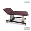 Image of HT Hi-Capacity Bobath Table - Two Section w/Central Lock Castors - Electric Backrest in Austex Studio+ Port vinyl (AI colour preview)