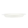 Image of lipped plate with raised inside edge side view