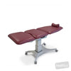 Image of Pinnacle Gynae Couch - All Electric in Austex Studio+ Ruby vinyl (AI colour preview)