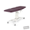 Image of Pinnacle Universal Examination Table in Austex Studio+ Port vinyl (AI colour preview)
