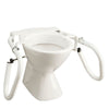 Image of 3-in-1 Support Arms for Toilet Transfers