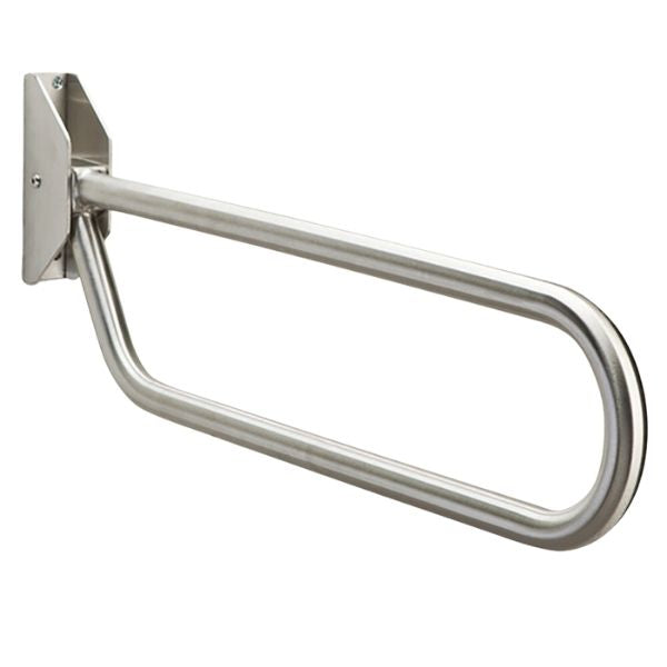 Stainless Steel Drop Down Toilet Rail