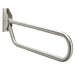 Stainless Steel Drop Down Toilet Rail
